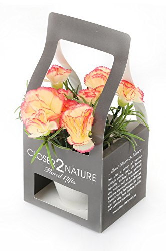 Closer2Nature - Artificial Peach Carnation Plant & Gift Box, Beautifully Realistic Decorative Faux Flowers, Perfect Indoor Floral Decorations in Home, Office, Living Room, 15cm