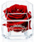 A 100% Real Rose That Lasts Years - Eternal Petals, Handmade in UK, Flowers Delivery Next Day Prime– White Gold Solo with A Clear Crystal (Deep Red)