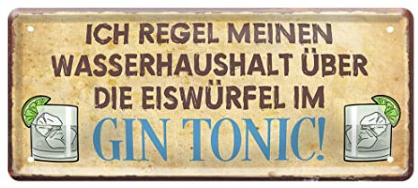 Retro Deko Gin Blechschild - witziges Schild für Gin Tonic Liebhaber - lustiges Deko Metallschild für Küche Kneipe Partyraum - Geschenkidee für Gin Genießer - Bar Zubehör Dekoration - 28x12cm