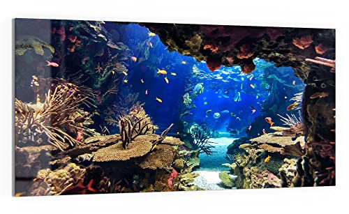 DEQORI Glasbild Echtglas | Motiv Exotisches Aquarium | horizontal einteilig 100x50 cm | schöne Dekoration | Wandbild für Wohnzimmer, Schlafzimmer, Flur & Küche | moderne Wanddeko