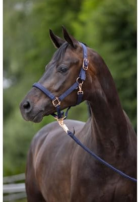 Covalliero Halfter Classy Navy mit roségold, Größe:Full