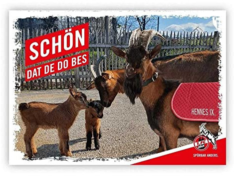 1. FC Köln Postkarte - Schön dat de do BES - Glückwunschkarte zur Geburt, Grußkarte, Karte - Plus Lesezeichen I Love Köln