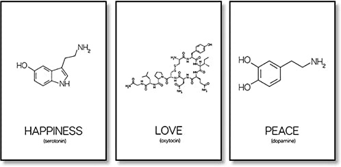 HMXQLW Chemie Molekül Frieden Liebe Glück Wissenschaft Bildung Chemie Labor Dekor Leinwand Bild Bilder Wohnzimmer Deko, Leinwand Bilder Poster und Drucke Wandkunst Malerei Rahmenlos (3X40X60CM)
