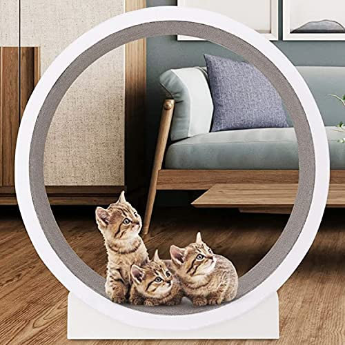 UIBAO Katzenlaufrad,Haustier-Laufmaschine Leises Katzenlaufband,Intelligenzspielzeug Für Katzen Klettergerüst Für Haustiere Reibungsloser Lauf frei für kleine/mittelgroße Hunde Indoor-Training