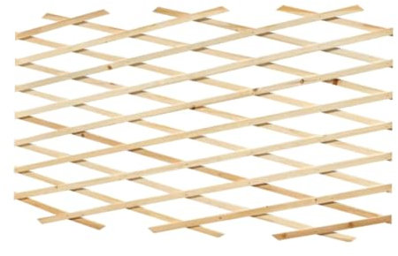 BIANCHERIAWEB Treillis extensible en bois pour plantes grimpantes clôture jardin balcon 100 x 200 cm naturel