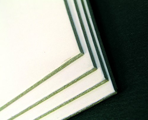 Clairefontaine 93991C Packung (mit 10 Passepartouts, mittelfein, 1200 g, 50 x 65 cm, 1,8 mm, preiswert, leicht, ideal für Bilderrahmung und Kartonagen) 10er Pack grau/weiß