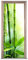 XXXCH 3D Türaufkleber 80X200CM grüner Bambus Türtapete selbstklebend TürPoster - Fototapete Türfolie Poster Tapete Meer Aufkleber DIY Selbstklebende Wandbild PVC Wasserdichte Tapete