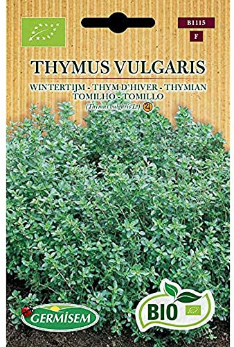 Germisem Orgánica Thymus Vulgaris Semillas de Tomillo 0.5 g, ECBIO1115