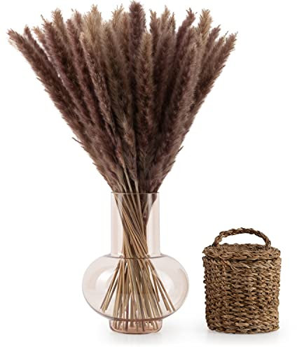 Blumtal Pampasgras Trockenblumen - Pampasgras 50 Stück, 58-60 cm, für Trockenblumenstrauß oder Trockenblumen Deko, Pampasgras Deko Boho Style in Pampasgras naturbraun