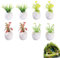 Bavooty Juego de Plantas en Miniatura,Planta Artificial en Miniatura,Miniatura Bonsái Casa de Muñecas,Casa de Muñecas Mini Plantas,No Apto para Menores de 6 años (Suculentas)