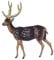 Miniblings Damhirsch REH Bedruckt Brosche Holz Tier Hirsch Jagd - Handmade Modeschmuck I Anstecknadel Button Pins