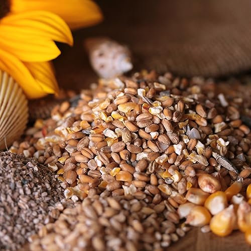 federgold® Körnermix 10 kg | Ergänzungsfutter für Wachteln & Hühner | Mit Getreide, Muschelschrot & Sonnenblumenkernen | Ohne Gentechnik & Palmöl | Regional hergestellt in Baden-Württemberg