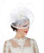 Sinamay Serre-tête bibi à plumes et fleurs pour femme Course Royal Ascot Pilulier Mariage Cocktail Thé Fête Derby Chapeau pour femme, SG-Blanc, M