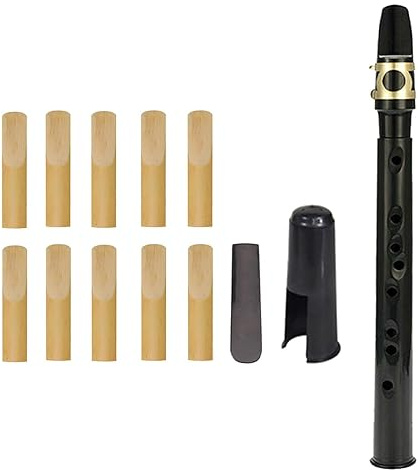 Kleines Saxophonband-Set, tragbares Saxophon-Altsaxophon, mit 1 Blättern, 10 Mundstücken, 1 Grifftabelle, 1 Tragetasche