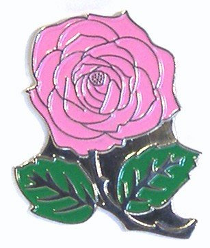 Metal Enamel Pin Badge English Rose in Pink