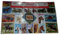 Horse Horses, Worldwide Stamps from Around The World, Collectable Set of 100 Postage Stamps! Souvenir / Speicher / Memoria! 100 Different Stamps! Timbre-Poste / Briefmarke / Francobollo / Sello de Correos!