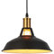 MAXDUYU Industrial Colgante de Luz, E27 Retro Lámpara de Techo Iluminación Decorativa, Vintage Metal Pantallas de Iluminación para Loft Restaurante Coffee Bar (negro)
