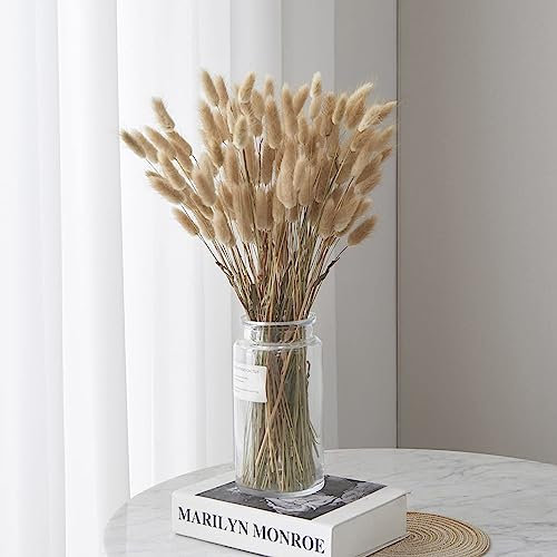 FANNAS 60 Pezzi Erba Della Pampas Fiori Secchi Coda di Coniglio Bouquet,Fiori Secchi Naturali,Boho Decor Bouque, Pampa di Coniglietto Essiccato per Matrimoni Home per La Casa (Colore Naturale)
