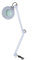 LED Lupenleuchte, Kosmetiklampe 5X Lupenlampe mit Rollen Ständer Kosmetik Lampe mit Standfuß Lupenleuchte Professionelle Vergrößerungslampe für Home Beauty Salon