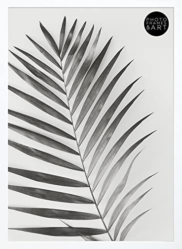 pf+a Premium A2 White Poster Photo Frame Portrait & Landscape Display
