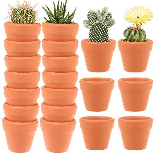 Fublazeze Mini pot de fleurs en terre cuite de 3 cm