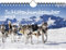 Schlittenhundezauber DIN A5 Kalender für 2025 Welpen und Hunde - Seelenzauber
