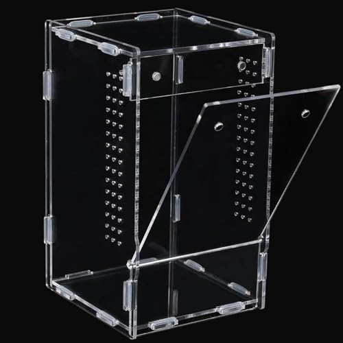 Hperu Springspinnen-Habitatgehege, Spinnen-Terrarium, transparente Amphibien-Acryl-Gehegebox für Spinnen, Arthropoden, Amphibien – Springset