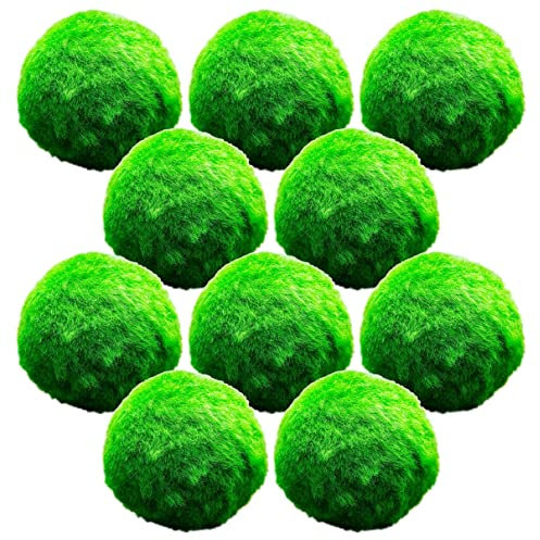 vdvelde.com - Marimo Mooskugeln - 10 Stück - Chladoflora Aegagropila - - Sauerstoffpflanze- Durchmesser ca. 5 cm- Platzierung: lose im Wasser