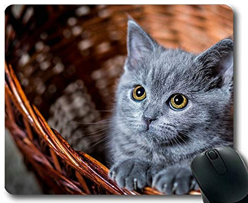 Gaming-Mauspad, Baby Animal Basket graues Kätzchen Stare Animal Cute Cat Mauspad, Mauspad für Computer cat010