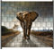 Wallario Zaun Sichtschutz Windschutz für EIN- und Doppelstabmattenzäune in der Größe Breite 2,00m x Höhe 1,80m, Motiv: Elefant bei Sonnenaufgang in Afrika
