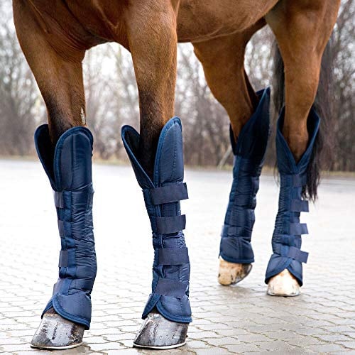 HORZE Transportgamaschen Pferd Mit Klettverschluss, 4-er Set, Gamaschen Für Höchste Sicherheit Beim Transport, Verfügbar In 3 Größen: Pony, Vollblut, Warmblut, Blau, Blau, F