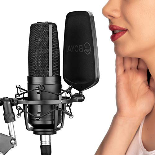BOYA Großmembran-Studiomikrofon Vlogging, Nieren-Kondensatormikrofon mit stabilem Gehäuse für Gesangsaufnahmen, Singer Podcaster Home Audio YouTube Video (M800)