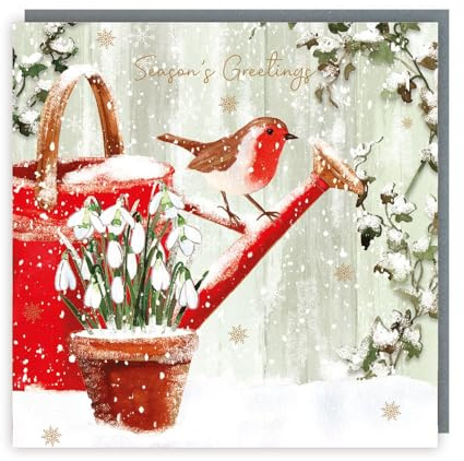 Tracks Publishing Charity Christmas Cards Pack of 5 - Charity Christmas Cards with a Robin and Snowdrops Festive Design - Eco-Friendly Xmas Cards Multipack with Envelopes