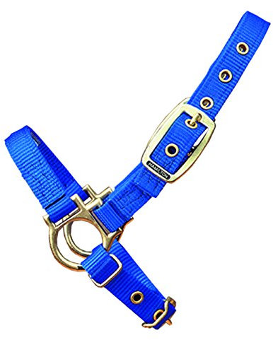 Hamilton Halfter Schaf ADJ Blau 35Da