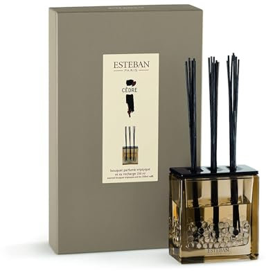 Cedre, Zeder - Estéban Diffuser 250 ml Bouquet parfumé Triptyque, Raumduft