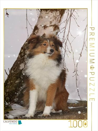 CALVENDO Puzzle EIN Motiv aus dem Kalender Mit Shelties durchs Jahr | 1000 Teile Lege-Größe 48 x 64 cm Foto-Puzzle für glückliche Stunden