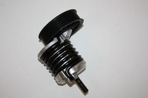 AUTOMEGA Galet tendeur de courroie d'accessoire Tendeur de courroie 160064410