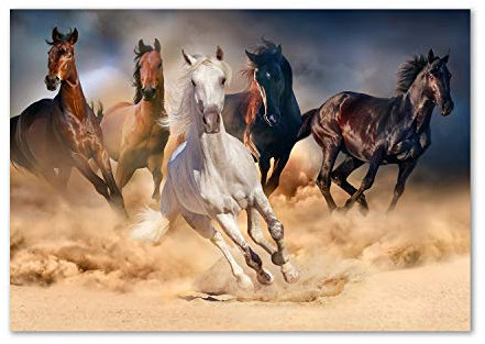 Tulup Impression sur Verre de 100x70 cm Image Tableau Photo décorative panoramique pour la Cuisine et Le Salon - Animaux - Chevaux Au Galop - Brun