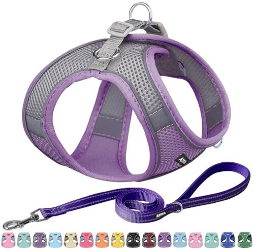 AIITLE Escape Proof Hundegeschirr - Schritt in einstellbaren Hundegeschirr No Choke Over mit atmungsaktivem Mesh und Quick-Release-Schnalle - Outdoor Walking, Training für mittlere Hunde Lila XL