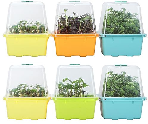 Microgreen Growing Trays, LUVCSOY Sprouting Tray with Humidity Dome, 3mm Large Mesh Holes, BPA Free, Sprouter Kit for Growing Large Seeds, Like Sunflower, Mung Beans, Green Pea - 6 Pack | Colorful
