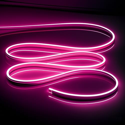 OWOFYDR - Striscia di luci a LED al neon rosa, 16,4 piedi/5 m, 12 V CC, impermeabile, flessibile, luce LED al neon per decorazione di interni ed esterni (senza adattatore, rosa)