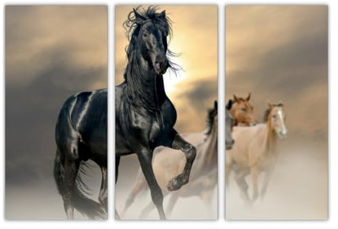 AREDE 3er Set Wandkunst Gemälde Bild Poster Schwarzes Pferd | 90 x 60 cm | Wandbilder Wanddekoration Home Office Wohnzimmer Schlafzimmer Dekoration | Fertig zum Aufhängen