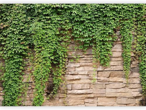 Luowenji Papier Peint Panoramique Mur de Pierre 300x210 cm 3D Papier Peint Intissé Lierre Photo Trompe l'oeil Poster Geant Mural Salon Chambre Enfant Chambre Décoration Murale a.988
