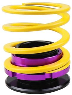 Vocdikficy Modischer Stifthalter mit Stoßdämpfer Fürs Auto, Höhenverstellbar, Aufbewahrung Fürs Büro, Stifthalter in Federform, Personalisiertes Geschenk A