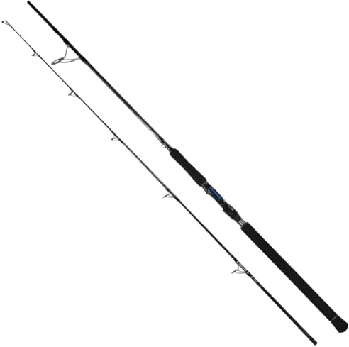 HolyCatch® Spinnrute aus Carbon – Angelrute für Hecht, Zander & Wels – Extra Starkes Rückgrat, weiche Spitzenaktion, salzwasserfest – Ideal für Weite Würfe & präzises Spinnfischen (2,10m)
