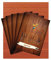 Holzbeize 5x18g Möbelbeize Trockenbeize Holzfarbe Pulverbeize Farbwahl, Farbe:lachs