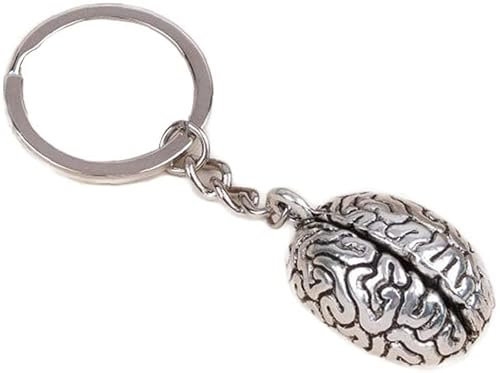 Gehirn Schlüsselanhänger Organ Schlüsselanhänger Anhänger Kette für Kinder, Medium, Silber, Andere Edelsteine