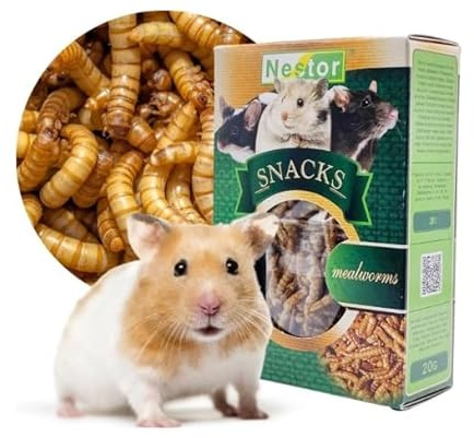 Natural Snacks for Rodents and Rabbits Mealworm Worms 20g Hamster Mouse Chinchilla Guinea Pig Rat Gerbil Degu Treats Supplementary Food