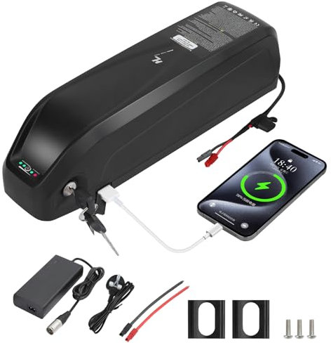 R TEAM Batterie de vélo électrique 48 V 15 Ah avec chargeur, port USB, batterie au lithium pour moteur 1000 W 750 W 500 W 250 W (Bafang, AW, la plupart des kits de conversion de vélo électrique)