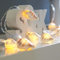 Festive Lights 1,5m batteriebetriebene Muschel Lichterkette mit 10 LEDs warmweiß echte Muscheln mit Timer Maritime Deko Lichterkette Nautische Deko Muschellampe Badezimmer Modern